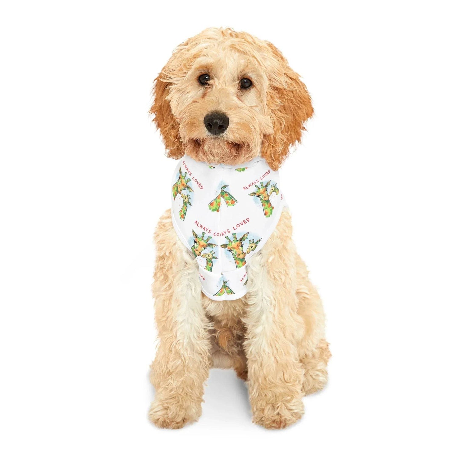 Pet Hoodies - Iona's World